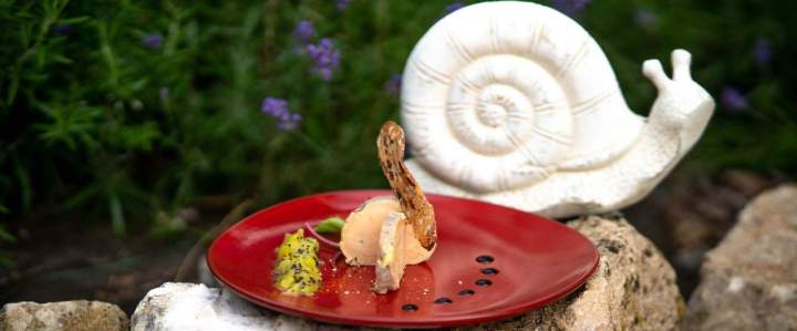 Terrine de foie gras Marsannay-la-Côte